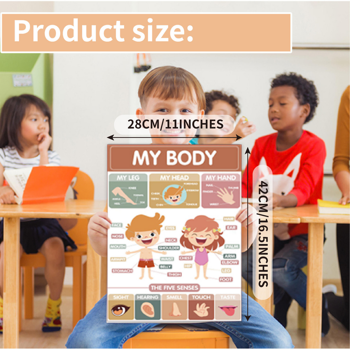 Preschool Educational Posters โ Waterproof Classroom Wall Art Set (16pcs)