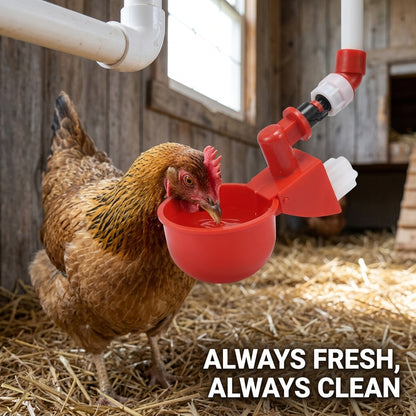 Automatic Hanging Water Cups – PP Chicken & Quail Drinker Bowls for Home & Farm Use