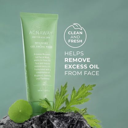 Salicylic Acid Mugwort Gel Mask – Deep Cleansing Clay-to-Foam Facial Cleanser