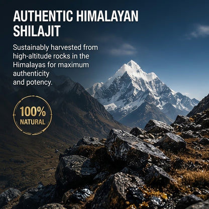 Pure Shilajit Resin Food Grade Fulvic Acid Mineral-Rich Plant Extract