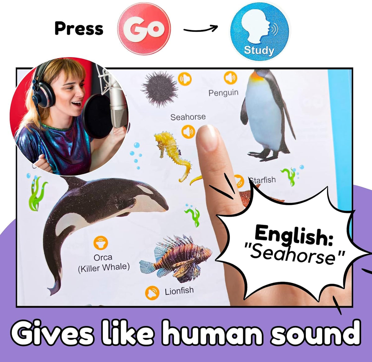 300+ Words Interactive Audio Sound Books