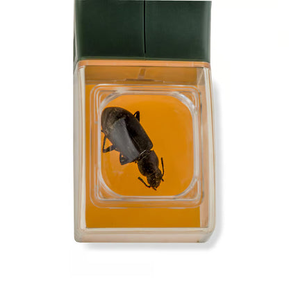 Quick-Release Bug Catching Tool and Magnifier