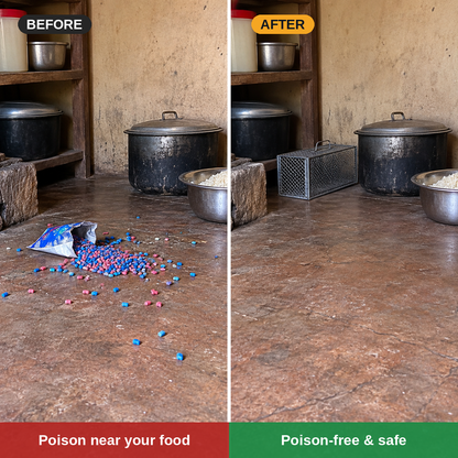 One-Way Entry Multi-Catch Rat Trap – Reusable Steel Cage, No Poison & No Chasing