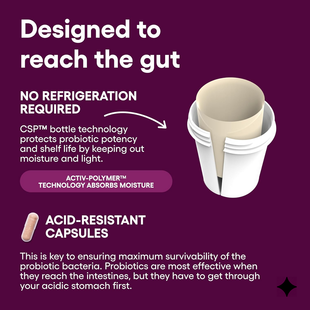 Women’s Health Vaginal Probiotics – Daily Feminine Wellness Support